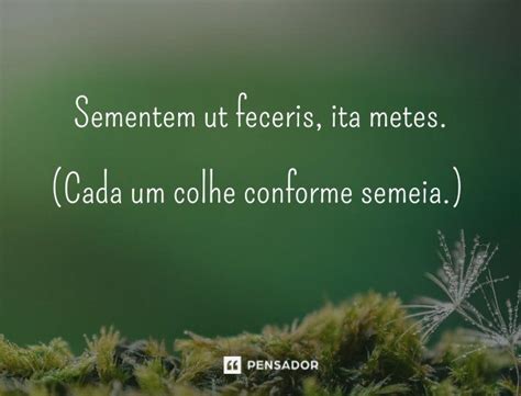 Descubra Frases em Latim e Seus Significados: Sabedoria .
